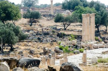 Gadara: opgravingen