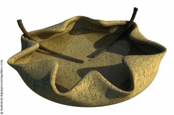 olielamp